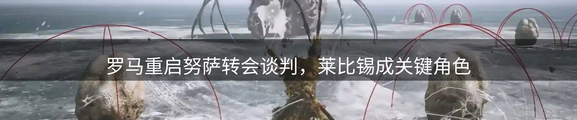 体育资讯